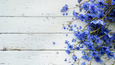 Blue flowers on white wooden background. Top view with copy space.の素材