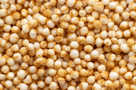 seeds of the Puffed (popped) Amaranthの写真素材