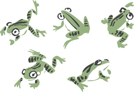 frog illustrationのイラスト素材