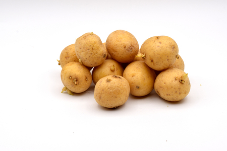 Sprouted potatoes on a seamless white background.の写真素材