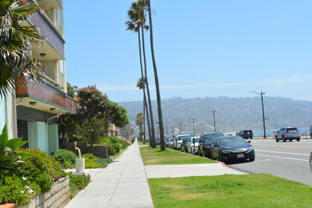 Scenic Coastal Walkway Lined With Palm Trees and Charming Homes in Sunny California During a Bright Dayの写真素材