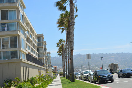 Coastal Pathway Lined With Palm Trees and Modern Architecture Under a Clear Blue Skyの写真素材