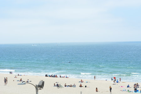 Relaxing Day at the Beach With Sunbathers and Gentle Waves on a Clear Summer Afternoonの写真素材