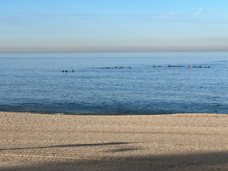 Calm Ocean View With Surfers Enjoying the Gentle Waves at Sunset Near a Peaceful Sandy Beachの写真素材