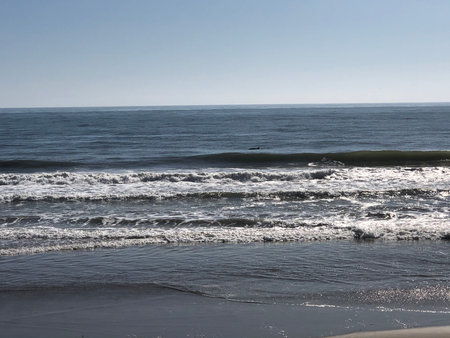 Waves Gently Rolling Onto the Shore Under a Clear Blue Sky at Middayの写真素材