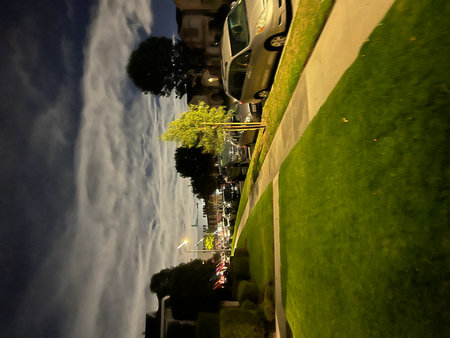 Quiet Evening Stroll Along the Tree-Lined Street Under the Illuminated Night Skyの写真素材