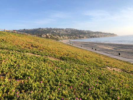 Scenic Coastal View Reveals Vibrant Green Hillsides and Serene Sandy Beach Under a Clear Sky in La Jollaの写真素材