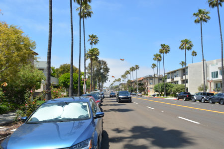 Palm Tree Lined Street in California Bustling With Cars and Sunny Skies During Summertime Strollの写真素材