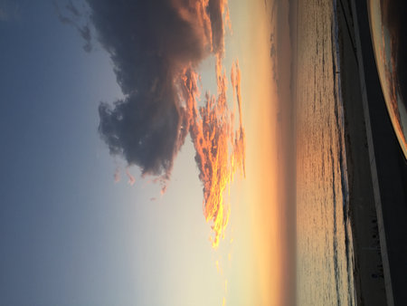 Colorful Sunset Transforms the Sky Over a Calm Ocean With Gentle Waves and Soft Clouds Around the Horizon Generative AIの写真素材