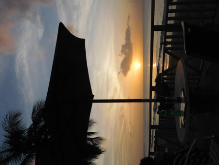 Sunset View From a Beachside Table With Palm Trees Swaying in the Evening Breeze Overlooking the Calm Ocean Watersの写真素材