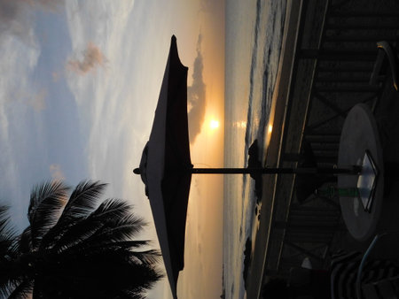Sunset Views From a Beachside Cafe With Palm Trees and Gentle Waves at Duskの写真素材