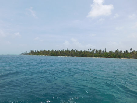 Gentle Waves Lap Against a Serene Tropical Shoreline on a Sunny Day With Vibrant Green Palm Trees in the Backgroundの写真素材