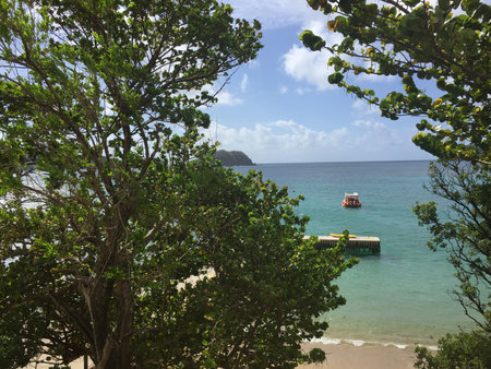 Tranquil Beach Scene With a Small Boat Docked at a Wooden Pier Under a Bright Blue Skyの写真素材