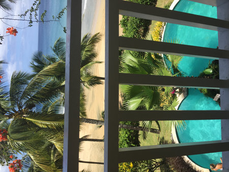 Relaxing Beach View With Palm Trees and Tranquil Waters Under a Bright Skyの写真素材