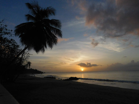 Sunset Over a Serene Beach With Palm Trees and Calm Waves Near a Peaceful Shoreの写真素材