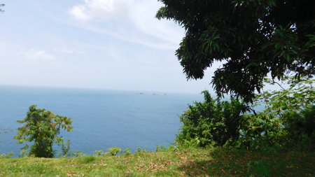 Stunning Coastal View From a Lush Green Hillside Overlooking a Tranquil Ocean on a Sunny Dayの写真素材