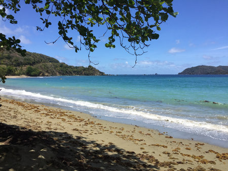 Breathtaking View of Calm Beach Waters Under a Clear Blue Sky in a Serene Coastal Paradiseの写真素材