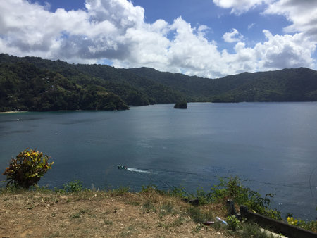Serene View of a Tranquil Bay and Lush Mountains Under a Bright Sky in Trinidadの写真素材