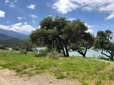 Scenic Lakeside View Featuring Trees and Distant Mountains Under a Blue Sky With Fluffy Cloudsの写真素材
