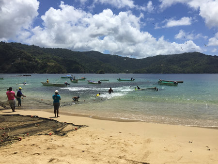Fishermen Working Together to Cast Nets in the Tranquil Bay Under a Bright Blue Skyの写真素材