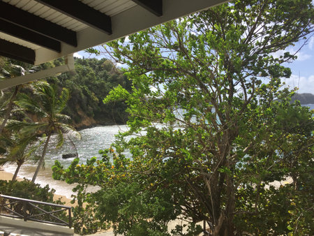 Serene Coastal View From a Balcony Overlooking a Tranquil Beach Surrounded by Lush Greeneryの写真素材