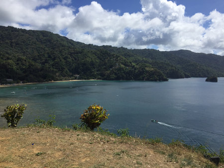 Coastal View of a Serene Bay Surrounded by Lush Mountains on a Bright Sunny Dayの写真素材