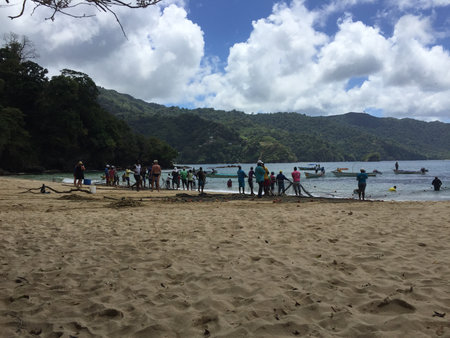 Exciting Beach Day at a Beautiful Tropical Location With Families and Friends Enjoying Water Activities and Explorationの写真素材