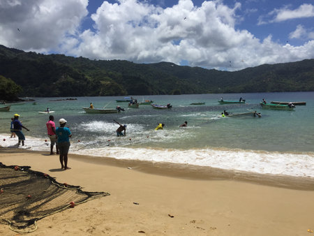 Fishermen Working Together on the Beach During a Sunny Day to Catch Fish in Crystal Clear Waters Near a Lush Green Shorelineの写真素材