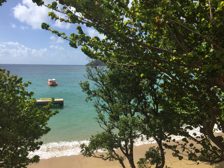 beach and tropical sea in Tobagoの写真素材