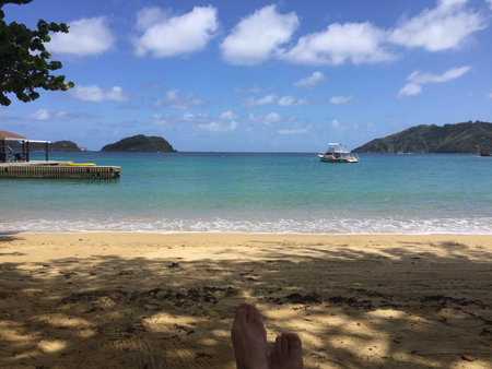 beach and tropical sea in Tobagoの写真素材