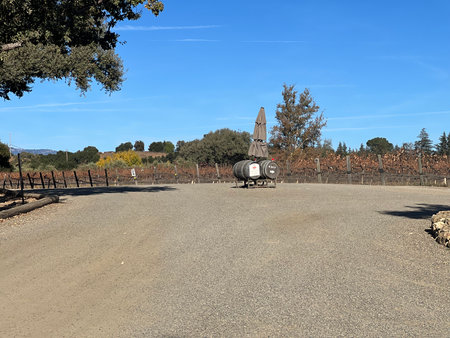 Scenic Vineyard Pathway Leads to a Cozy Resting Spot Under a Sunlit Skyの写真素材