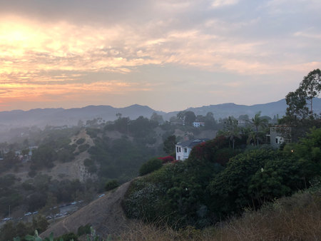 Sunset Over the Hills With Blooming Flowers and Distant Homes in a Serene Landscapeの写真素材