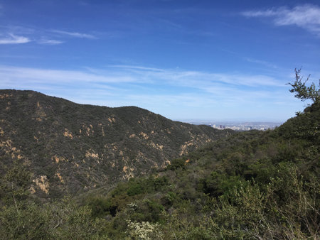 Scenic View of Rolling Hills Under a Blue Sky Overlooking a Distant Cityscapeの写真素材