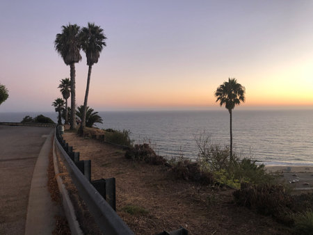 Sunset Over the Ocean With Palm Trees Lining the Quiet Coastal Road Near the Beach in Californiaの写真素材
