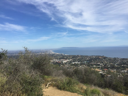 Breathtaking Coastal View From a Hillside With Lush Greenery and a Clear Blue Sky Above in Southern Californiaの写真素材