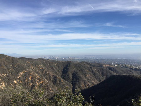 Scenic View of Los Angeles From the Hollywood Hills During a Sunny Afternoonの写真素材