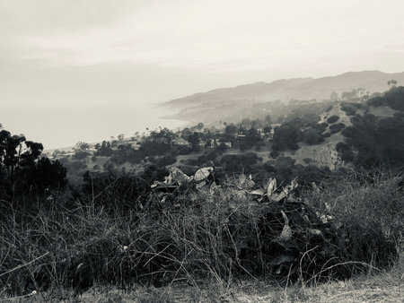 Coastal Landscape Shrouded in Mist at Dawn, Revealing Peaceful Hills and Distant Ocean Wavesの写真素材