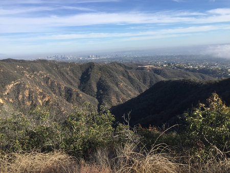 Scenic View of Los Angeles Skyline From Rugged Mountain Trail With Lush Greenery on a Clear Dayの写真素材