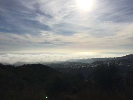 Lush Hills Overlook a Sea of Fog in the Early Morning Light Above the City Skylineの写真素材