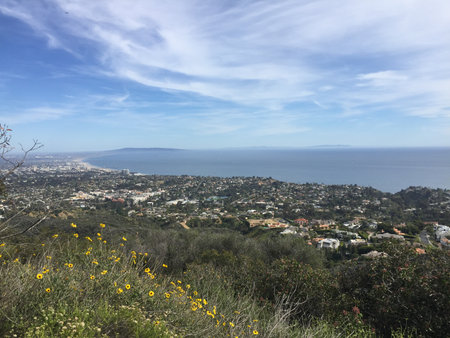 Vibrant Coastal View From the Hills Showcasing a Colorful Landscape and the Serene Oceanの写真素材