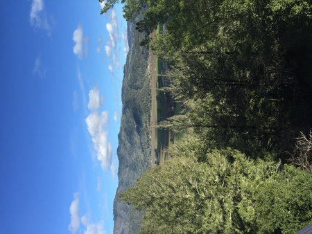 Scenic View of Rolling Hills and Lush Forest Under a Bright Blue Sky During a Sunny Dayの写真素材