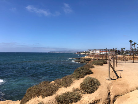 Stunning Ocean View From a Coastal Trail During Midday With Calm Waves and Palm Trees Lining the Seaside Cliffsの写真素材