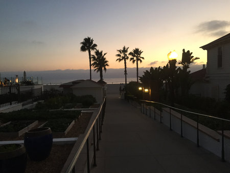 Strolling Down a Serene Path Toward the Beach at Sunset With Palm Trees and Calm Ocean Waves in Viewの写真素材