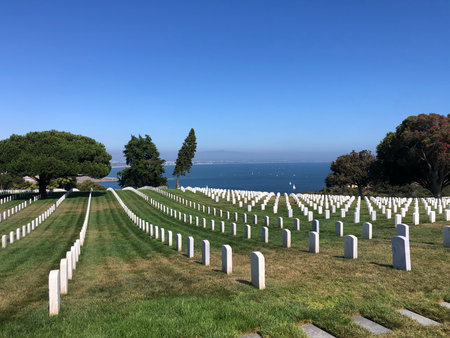 Honoring Heroes at a Serene Seaside Cemetery Under a Clear Blue Skyの写真素材