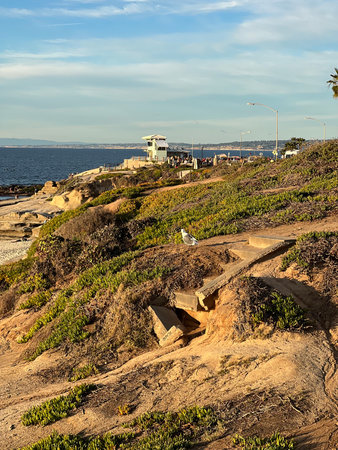 Strolling Along the Scenic Coastline With Vibrant Greenery and Distant Lifeguard Tower at Sunsetの写真素材