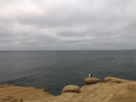 Ocean View at Sunset With Clouds and a Bird Resting on a Rock by the Shoreの写真素材