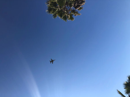 Plane flying in the blue sky with palm trees in the foregroundの写真素材