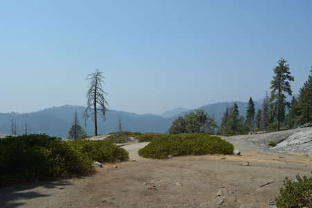 Scenic View of a Smoky Mountain Landscape With Sparse Vegetation Under a Hazy Skyの写真素材