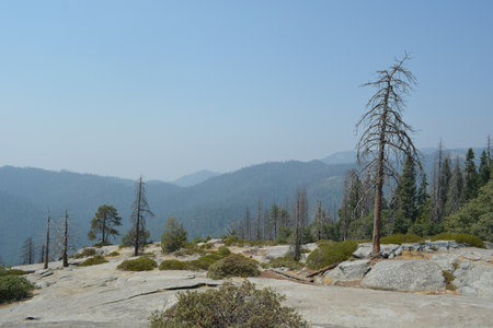 Exploring a Serene Mountain Landscape With Bare Trees and Misty Hills in the Distance During a Warm Afternoonの写真素材