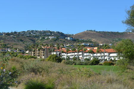 Scenic View of Hillside Resort With Palm Trees and Lush Landscaping Under Clear Blue Skyの写真素材